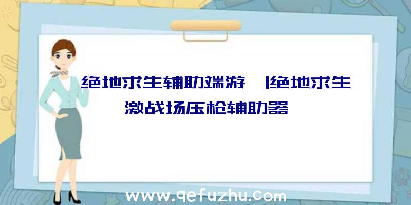 「绝地求生辅助端游」|绝地求生激战场压枪辅助器